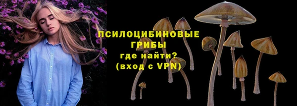 прущие крисы Наволоки