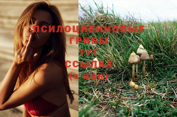 прущие крисы Наволоки